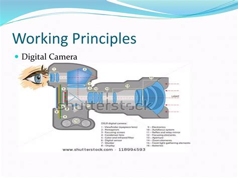 Image result for Digital Image Processing Electrical Engineering