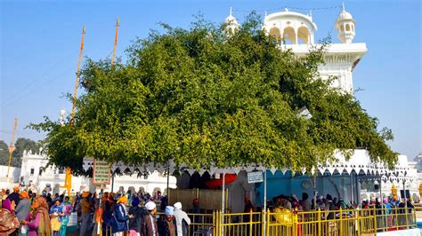 Dukh Bhanjani Ber Tree- A Place Of Healing In Amritsar | Incredible India
