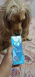 Vivaldis Clearify -Tris EDTA - Ear Cleansing Solution for Dogs and Cats ...