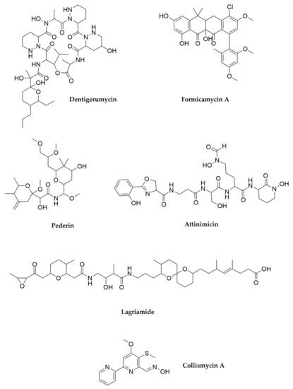 Beyond Soil-Dwelling Actinobacteria: Fantastic Antibiotics and Where to ...