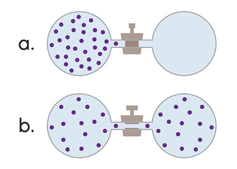 Image result for Equilibrium Animation