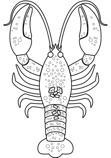 Image result for Simple Crayfish Pattern