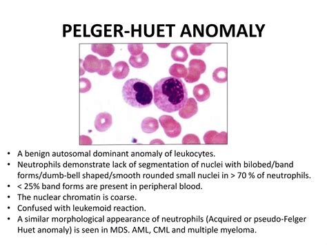 Benign White blood cell (WBC) Disorders | PPTX