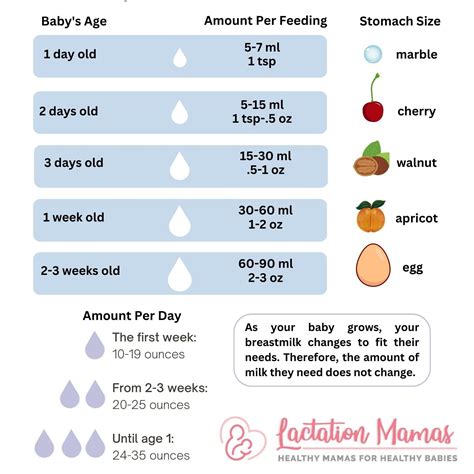 Breastfeeding And Pumping Schedule Newborn at Bethany Lindrum blog