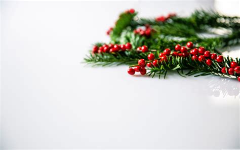 Christmas Holly Wallpapers - Top Free Christmas Holly Backgrounds ...