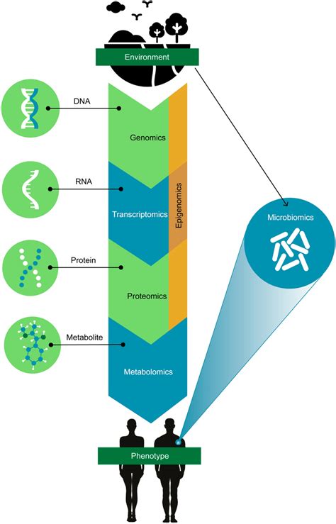 Omics Introduction 的图像结果