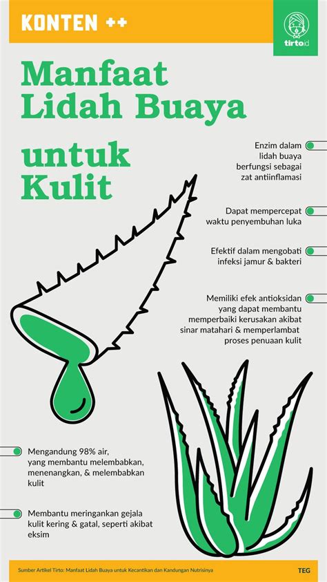 manfaat kandungan aloe vera untuk wajah