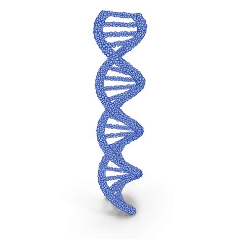 DNA Cartoon PNG Images & PSDs for Download | PixelSquid - S112658012