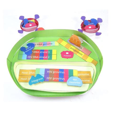 Image result for PCR Paper Lab