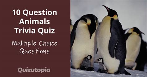 Image result for Simple Quiz Questions