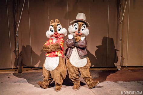 Full List of Characters & Meet and Greet Locations for Disney After ...