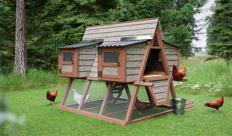 7x6 A-Frame Chicken Coop And Run Plans For 6 Chickens - Easy Coops™