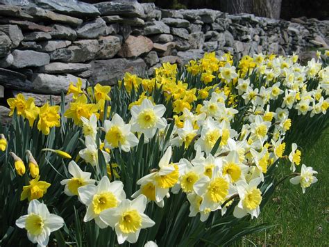 This Spring 的图像结果