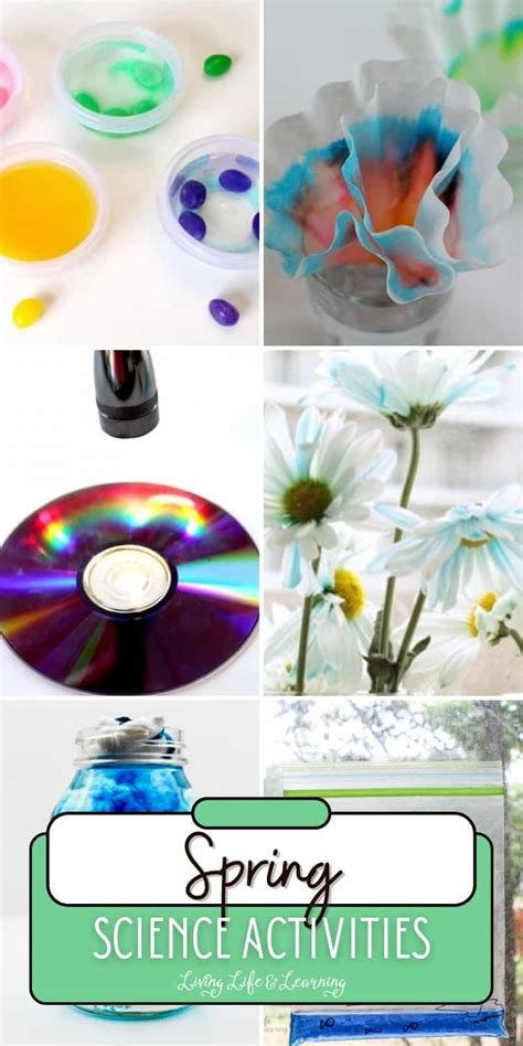 Image result for Spring Science Activities