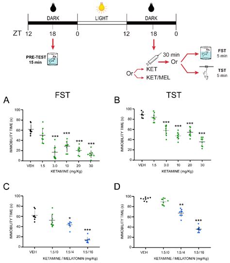 Low Doses of Ketamine and Melatonin in Combination Produce Additive ...