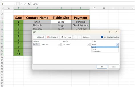 Image result for Excel Database Sorting Tutorial for Beginners