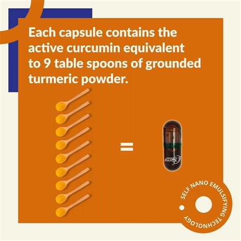 Buy SNEC 30 - NANO CURCUMIN TURMERIC CAPSULES PACK OF 60 CAPSULES ...