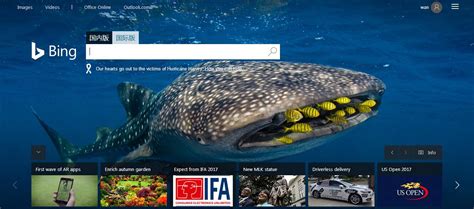 必应热门资讯 的图像结果