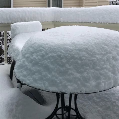 Prov Go Local 的图像结果