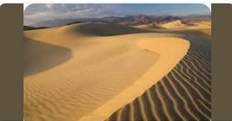 two types of landforms formed by the action of winds - Brainly.in