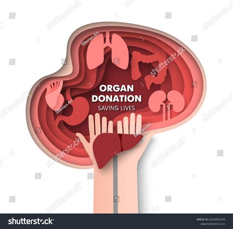 Organ Donation Saving Life 3d Vector Stock Vector (Royalty Free) 2222003335 | Shutterstock