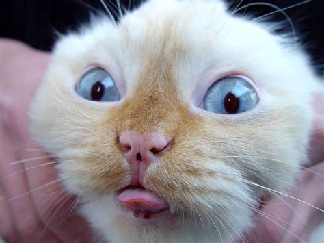 Image result for Code Out CSS