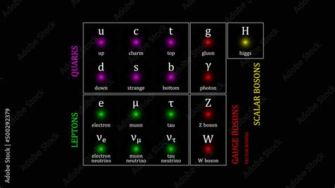 Image result for Elementary Particles