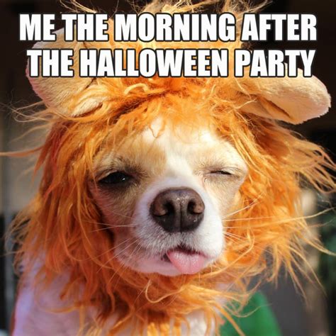 These 13 Funny Halloween Memes Will Have You in Stitches