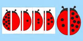 Ladybird Spot Number Bonds to 5 Matching Activity