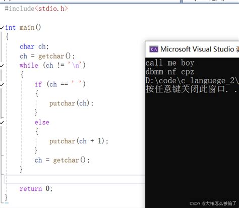 getchar c program 的图像结果