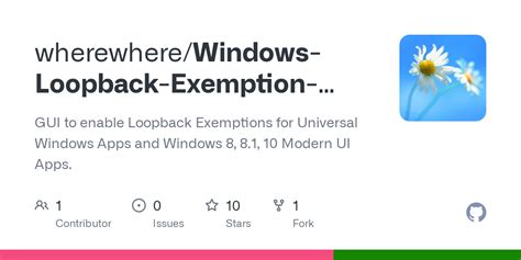Image result for Loopback App for Windows