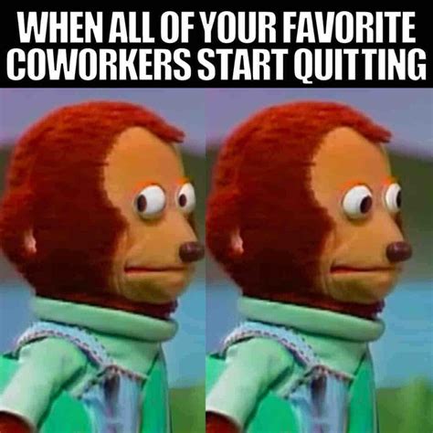 50+ Funny Coworker Memes To Share With Work Friends