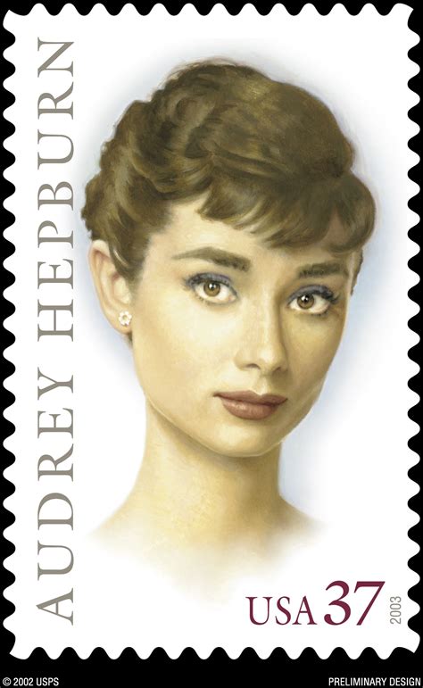 How to Care for Audrey Hepburn Roses