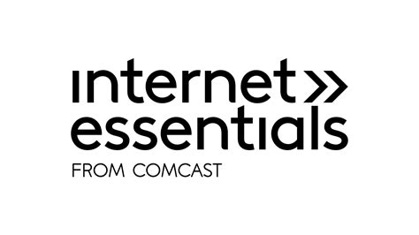Image result for Internet Essential Part