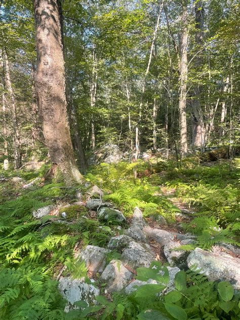 Robert Thorson Stone Wall Talk, TBD, Merrillan, 23 April 2025 | AllEvents