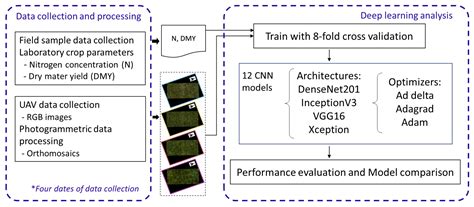 Silage Grass Sward Nitrogen Concentration and Dry Matter Yield ...