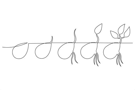 Image result for Line Graph Life Science