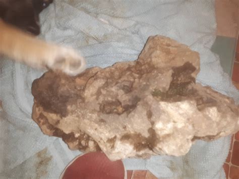 Image result for Meteorite Hunting