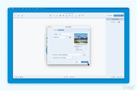 Image result for Import Export Code Logo Transparent WebP