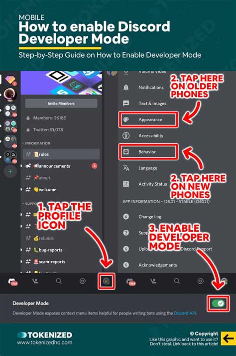 Image result for How to Use Developer Discord