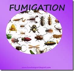 What is Fumigation in Export and Import