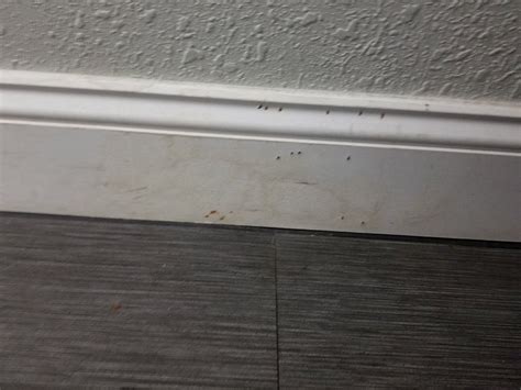 WINGATE BY WYNDHAM KANSAS CITY NORTHEAST - Hotel Reviews, Photos, Rate ...