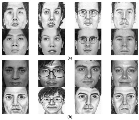 Fine-Tuning of Pre-Trained Deep Face Sketch Models Using Smart ...