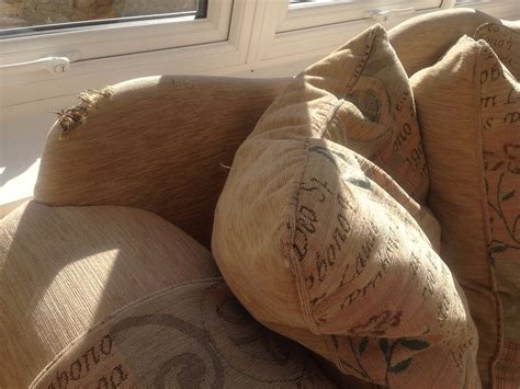 HIGHER POUND FARM COTTAGES (Lyme Regis, Dorset) - Cottage Reviews ...