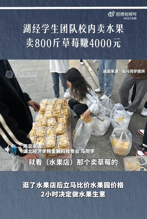 武汉高校学生校内卖水果赚四千多：卖了800斤草莓和200斤菠萝蜜_马同学_新闻_来源