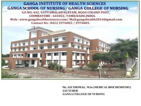 Image result for Normal PaO2