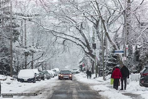 Asahi Super Multi Coated Takumar 200mm f4 - Sample Photos