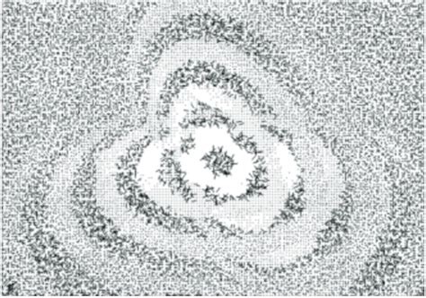 Vector Field 的图像结果