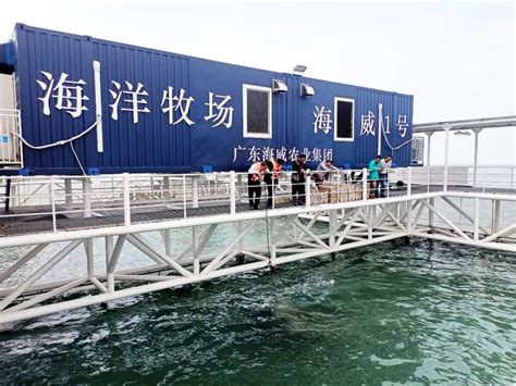 湛江市首个海上养殖平台正式落户流沙港并投入使用-雷州市人民政府门户网站