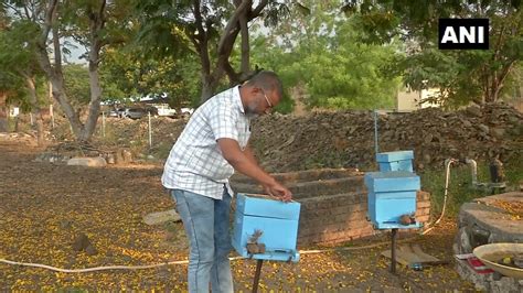 Krishi Vigyan Kendra in Karnataka provides training to farmers in ...